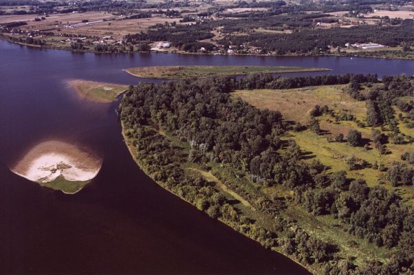 Autor: Jacek Poręba. Wszelkie prawa zastrzeżone.
