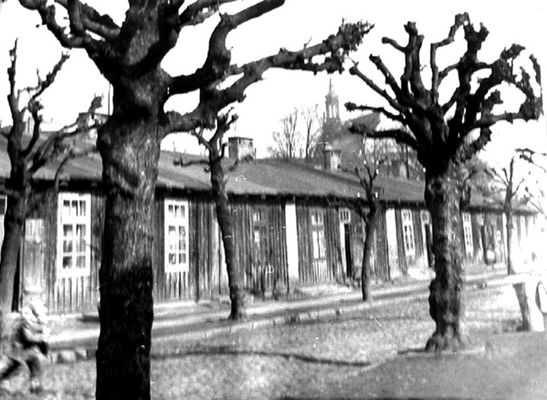 Czarny Dwór - baraki mieszkalne.
Zdjęcie pochodzi z książki Mirosława Łakomskiego "W 80 stron dookoła Płocka".
Wszelkie prawa zastrzeżone.
