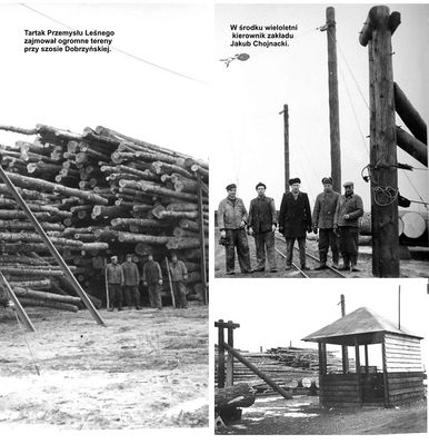 Tartak Przemysłu Leśnego
Zdjęcie pochodzi z książki Mirosława Łakomskiego "Szkice płockie".
Wszelkie prawa zastrzeżone. 
