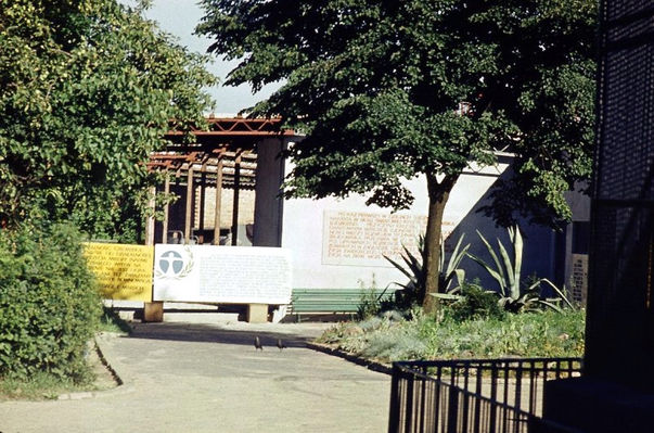 ZOO - budowa pawilonu Herpetarium - 1976
Autor: Ryszard Bielawski
