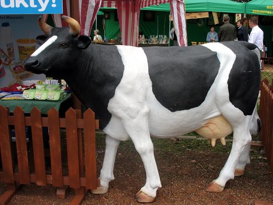 Dożynki w Wyszogrodzie - 03.09.2006
Autor: ASK
