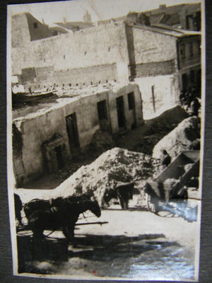 ***
Zdjęcie nadesłano do identyfikacji.

Proszę o komentarze.
