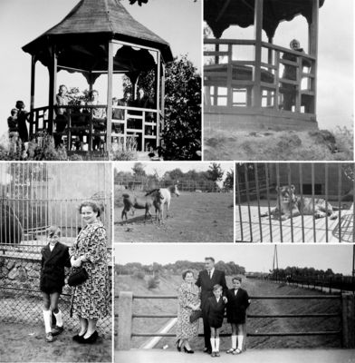 Urocza altanka w Ogrodzie Zoologicznym
Można było z niej obserwować zwierzęta lub rozlewisko Wisły.

Zdjęcie pochodzi z książki Mirosława Łakomskiego "Rejs po płockim Peerelu".
Wszelkie prawa zastrzeżone.
