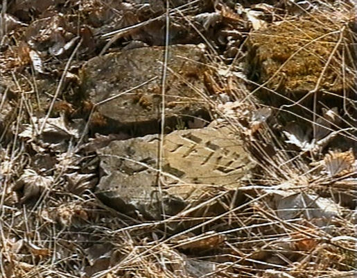 Wyszogród - Cmentarz Żydowski
Fragmenty rozbitych macew
Autor: Ryszard Bielawski - 2001 r.
