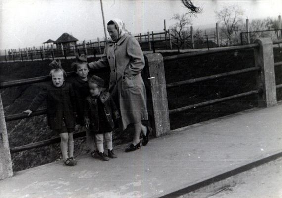 Most do Zoo - 1952 rok
