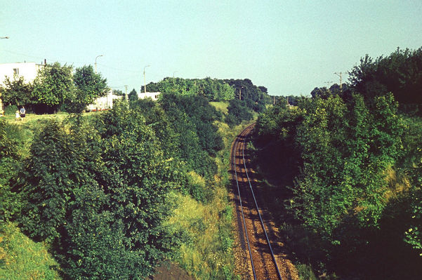 Widok z wiaduktu koło ZOO - 1974
Autor: Ryszard Bielawski
