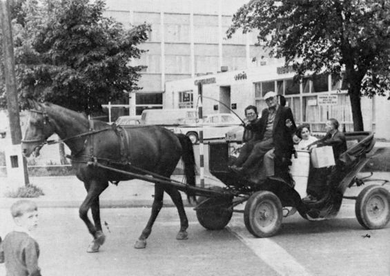 Dorożka na ul. Bielskiej
W tle Hotel Petropol.
