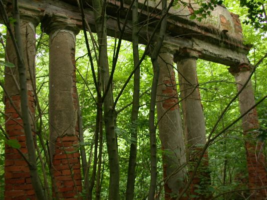 Studzieniec - ruina pałacu
STUDZIENIEC (gm. Słubice). Pałac zbudowany ok. 1790 r. przez wybitnego architekta Hilarego Szpilowskiego. Styl budowli: klasycystyczny. Jeden z najpiękniejszych obiektów województwa. Mocno zrujnowany, otoczony rozległym parkiem krajobrazowym z końca XVIII w. o powierzchni 3,5 ha. Właściciel: Urząd Gminy.

