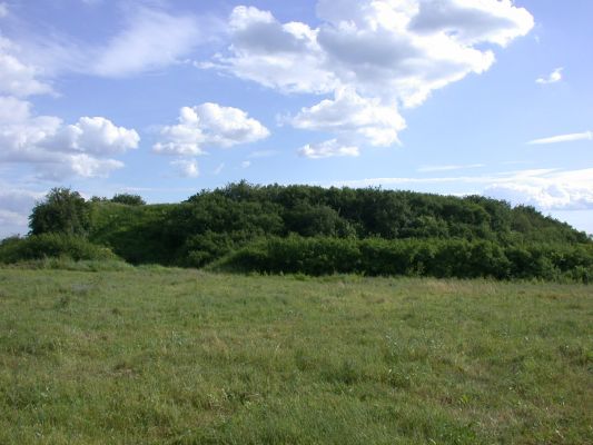 Proboszczewice - grodzisko
Grodzisko zw. Kosmatą Górą lub Szwedzkimi Okopami usytuowane na krawędzi rz. Wierzbicy. Rozmieszczone na planie czworoboku o wymiarach 110x130 m otoczone wałem i częściowo fosą. Czynne od VI wieku, choć wały zostały usypane później - w XI wieku Grodzisko to należy do najlepiej zachowanych i największych na Mazowszu.

