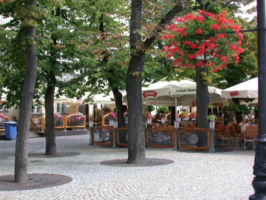 Ogródki piwne na Starym Rynku
