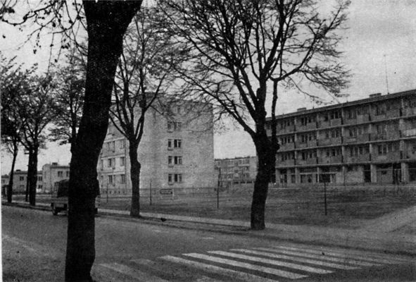 Fragment osiedla Dobrzyńska
pocz. lat 60tych
