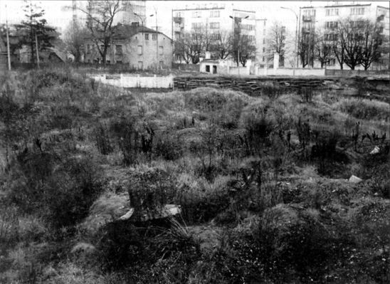 Stadion przy Kochanowskiego
lata 1981 - 1983

