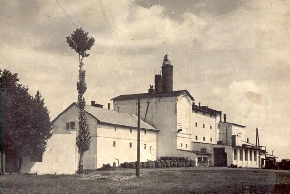 Browar Ciechomice - początek lat 60-tych
Piękna panorama ciechomickiego browaru. 

Z jednej strony - na zdjęciu widać słodownię (niższy budynek z lewej strony - ten za przyciętym drzewem) który spłonął a następnie został rozebrany w 2 połowie lat 60 a - z drugiej strony - niższy komin (ten z lewej) jest tu już znacznie niższy gdyż pod koniec lat 50. zawalił się i został odbudowany tylko do połowy.
