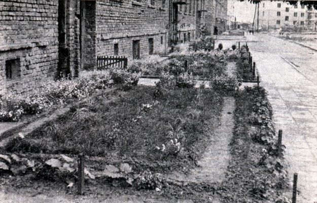 Fragment osiedla ZOR (okolice Obrońców Westerplatte)
Teren osiedla uporządkowany w czynie społecznym.

koniec lat 50-tych
Autor: Henryk Prośniewski

[Opis oryginalny]
