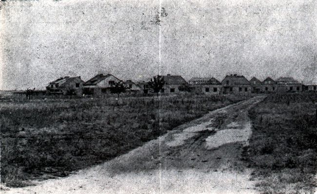 Osiedle mieszkaniowe domków jednorodzinnych przy ul. Dobrzyńskiej (w budowie)
koniec lat 50-tych
Autor: Henryk Prośniewski

[Opis oryginalny]
