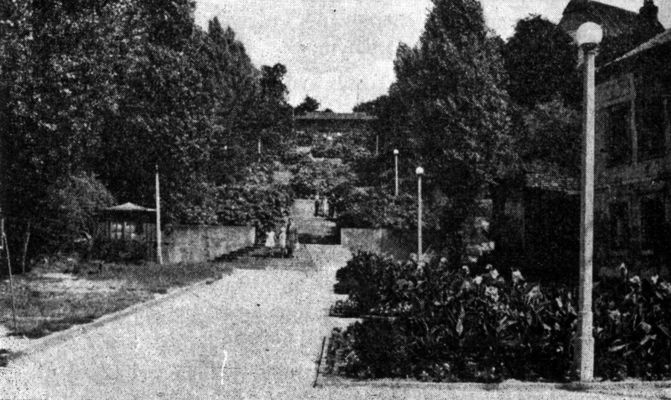 Inwestycja komunalna - schody prowadzące, wśród róż i zieleni, z nad Wisły do miasta
koniec lat 50-tych
Autor: Henryk Prośniewski

[Opis oryginalny]
