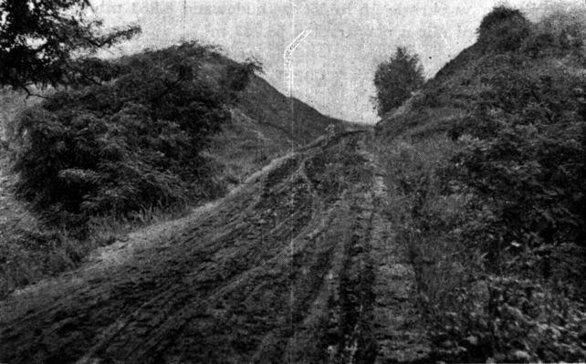 Tak wyglądał do niedawna odcinek ul. Wieczorka przed przebudową
obecnie ul. K. Wielkiego

koniec lat 50-tych
Autor: Henryk Prośniewski

[Opis oryginalny]
