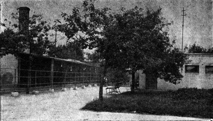 Widok zabudowań w płockim ZOO
koniec lat 50-tych
Autor: Henryk Prośniewski

[Opis oryginalny]
