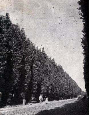 Aleje Jachowicza
początek lat 60-tych

Autor: Andrzej Zborski
