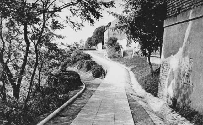 Aleja na krawędzi skarpy wzdłuż Wisły
W tle widać zabytkowe spichlerze.
