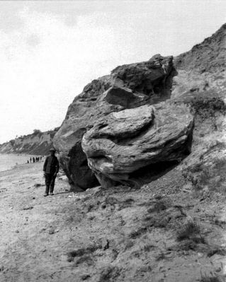 Wielki głaz piaskowca na osuwisku skarpy w okolicy kościoła farnego
1927 rok

Autor: A. Maciesza
