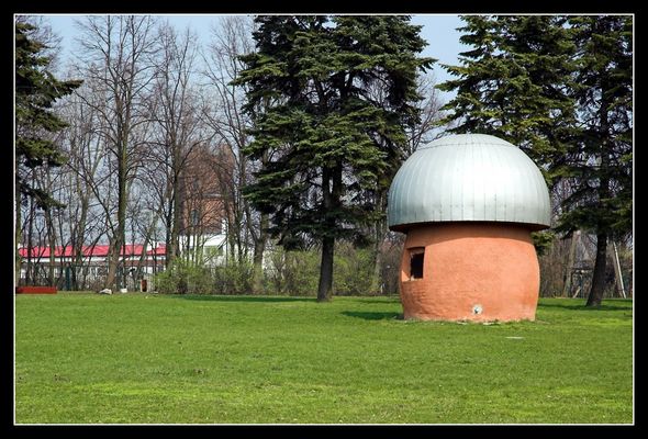 Grzybek
Płockie ZOO
