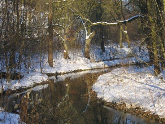 rzeka Brzeźnica zimą
Słowa kluczowe: brzeźnica jar