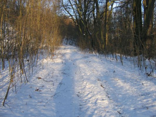 droga od Lodowni
Słowa kluczowe: droga jar brzeźnicy