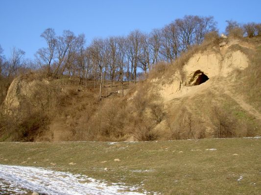 Skarpa - miasto
Skarpa w okolicach Jaru Kazimierzowskiego z widocznym otworem wejsciowym jaskini
Słowa kluczowe: jaskinia skarpa
