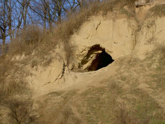 Skarpa - miasto
Jaskinia na skarpie
Słowa kluczowe: skarpa jaskinia