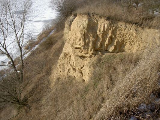 skarpa
Okolice ulic Norbertańska - Grabówka
Słowa kluczowe: skarpa
