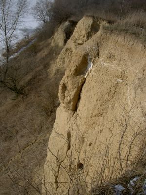 slarpa
Okolice ulic Norbertańska - Grabówka
Słowa kluczowe: skarpa