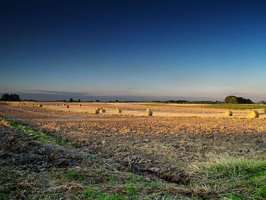 Pola - Białkowo
