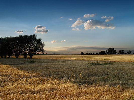 Pola - Gulczewo Stare
