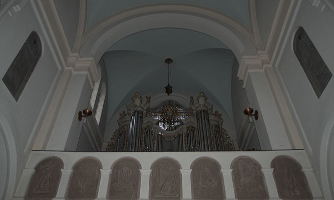 Kościół pw św. Benedykta - Płock Radziwie
