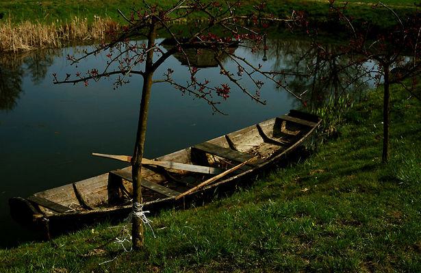 Łódź
Ośrodek w Cierszewie
