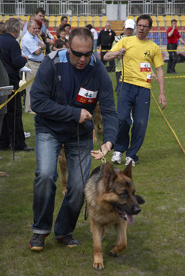 XXXII Mazowiecka Wystawa Psów Rasowych w Płocku
30.05.2010
