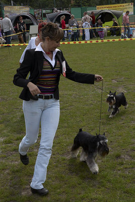 XXXII Mazowiecka Wystawa Psów Rasowych w Płocku
30.05.2010
