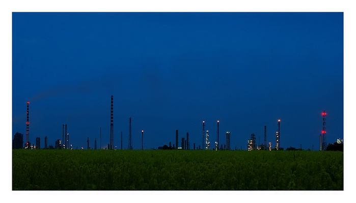 rzepak pod Orlenem
Srebrna
