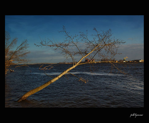 rz. Wisła
Wisła na wysokości zalewu Sobótka
