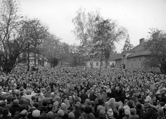Obchody Tysiąclecia Chrztu Polski w Płocku
13.XI.1966

Uczestnicy uroczystości na placu przed katedrą
