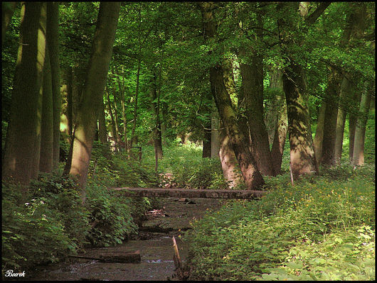 Nowy Duninów
Park okalający neogotycki zameczek oraz pałac myśliwski w Nowym Duninowie. Znajdują się w nim zabytki przyrody w postaci kilku olbrzymich platanów.
Słowa kluczowe: Nowy Duninów beerek