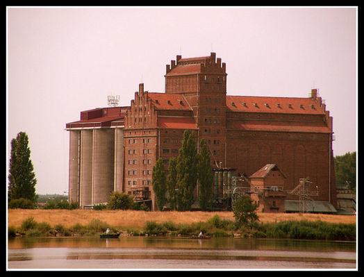 Elewator zbożowy w Radziwiu
