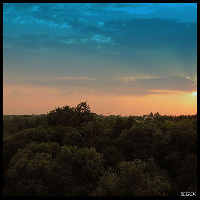 Jar Brzeźnicy
Jar Brzeźnicy widziany z wiaduktu na ul. Łukasiewicza
