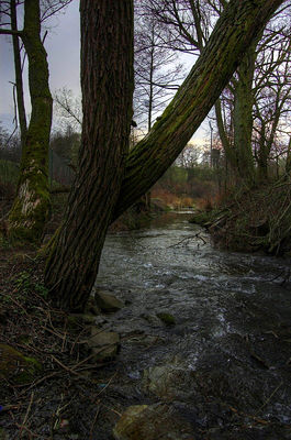 Jar Brzeźnicy
na wysokości Orlenu
