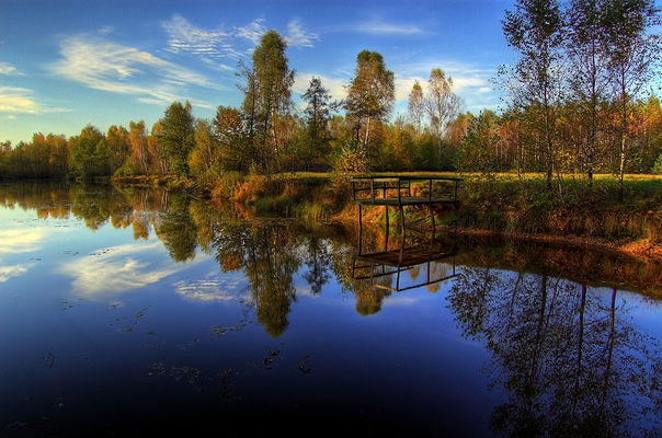 Leśna jesień 2007
Jeżewo k./Nowego Duninowa
