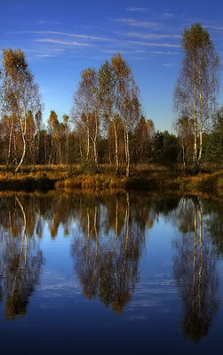 Leśna jesień 2007
Jeżewo k./Nowego Duninowa
