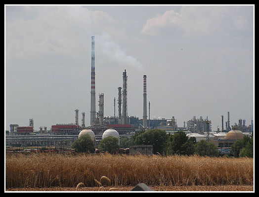 PKN ORLEN S.A.
ekologiczne uprawy zbóż pod Orlenem
