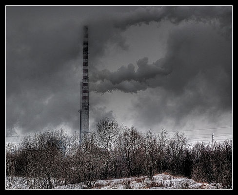 Orlen o poranku
Swojskie mikroklimaty
