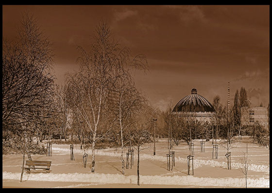 Wielka Płyta
Zima na osiedlu
